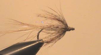 Seatrout Wet Fly