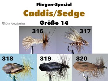 Caddis Sedge  Köcherfliegen in der gängigen Größe 14