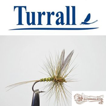 Turrall No.01 Medium Olive Dun #16  Special European Dry -Eine klassische, traditionelle Trockenfliege aus England-