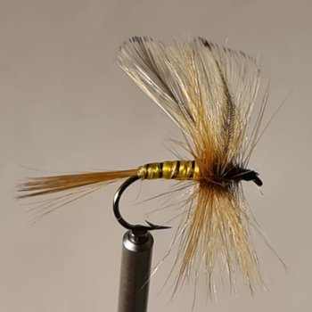 No.29 Yellow Mayfly in Größe 8