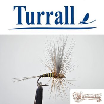Turrall No.05 Dark Olive Imago in Größe 16  Special European Dry -Eine klassische, traditionelle Trockenfliege aus England-
