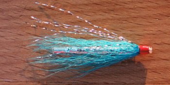 Kingfisher Streak Tube #1.5   Seatrout River & Stream