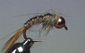 Tungsten BL Nymph Hares Ear