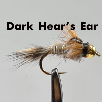 Heavy-Tungsten-Nymph Gr.10 mit schwerer 4,6mm Tungsten-Perle