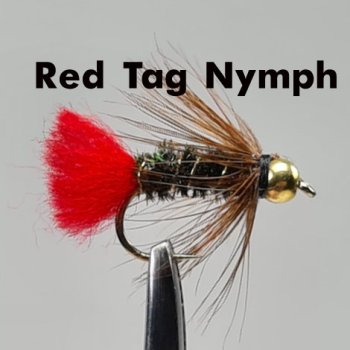 Heavy-Tungsten-Nymph Gr.10 mit schwerer 4,6mm Tungsten-Perle