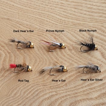 Heavy-Tungsten-Nymph Gr.10 mit schwerer 4,6mm Tungsten-Perle