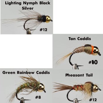 BarbLess Tungsten Master Nymph (Nummer 01-06)