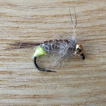 TungstenFacettenNymphen w. Fluo Tail Schwere Reiznymphen Sonderpreis, nur für kurze Zeit!