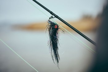 Guideline Embrace PREDATOR Fly Fishing Outfit #9 9FT Das Hecht-Fliegenfischer-Set mit den 4 fängigen Gratishechtfliegen in einer praktischen Fliegenbox.