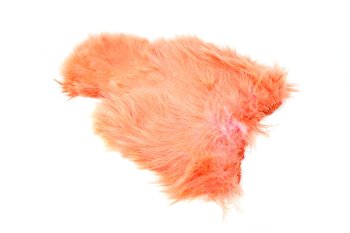 Whiting Spey SH/C White dyed Salmon   -Soft Hackle and Chickabou-