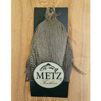 Metz Cock Neck Grizzly Grad 2   Grizzly-Kappe in einer sehr feinen Trockenfliegen-Qualität