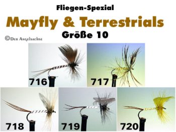 Turrall Mayflies   Englische Maifliegen (6 Muster zur Auswahl)