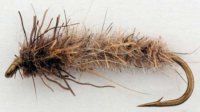 Dubbing Brush Sedge Larvae