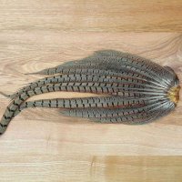 Veniard Pheasant Complete Tails  Fasanenstoßfeder Komplett