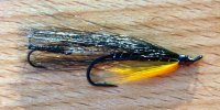 Black & Yellow #6   Flying TS   Seatrout River & Stream