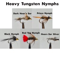 Heavy-Tungsten-Nymph Gr.10 mit schwerer 4,6mm Tungsten-Perle