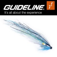 Guideline SGs Sillen Flashwing 5 cm Lachs-Tubenfliege