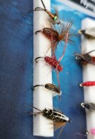 Turrall  Stillwasser Nymps Selection Stillwasser-Nymphen  FinestFishingFlies