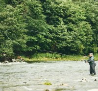 Guideline Embrace DH #7/8  12Ft   Fly Fishing Salmon Combo  Mit 5 fängigen Gratis-Lachs-Fliegen in einer praktischen Fliegenbox.